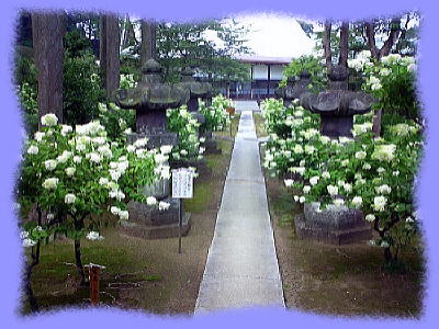 夏の境内 鹿野山神野寺