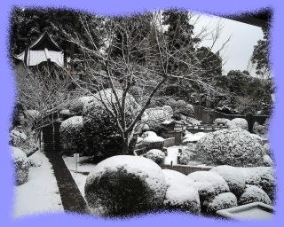 冬の境内 鹿野山神野寺