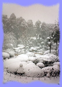 冬の境内 鹿野山神野寺